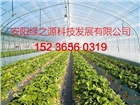 安陽綠之源蔬菜大棚建設(shè)安裝