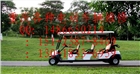 重慶電動(dòng)巡邏車(chē)、掃地車(chē)、觀(guān)光車(chē)、代步車(chē)維修