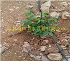 滴灌水肥一體化|四川果樹滴水管價(jià)格