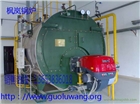 2噸環(huán)保燃?xì)庹羝仩t