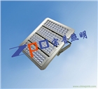 NFC9710-L210 LED投光燈