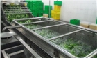 商用食堂洗菜機(jī)--高壓氣泡清洗機(jī)