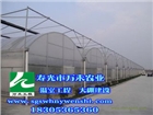 智能溫室  薄膜連棟智能溫室   壽光市萬禾農(nóng)業(yè)