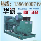 河北石家莊300千瓦柴油發(fā)電機(jī)組價(jià)格