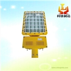 防爆路燈/LED防爆路燈/100w路燈防爆