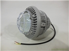 OHSF810煉油廠加氣站用吊裝壁裝LED防爆泛光燈150W