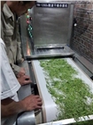 微波茶葉殺青設備