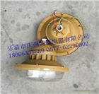 供應(yīng)SBF6103防水防塵防腐工廠燈40W50W三防無極燈