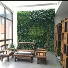 古野集生態(tài)植物墻