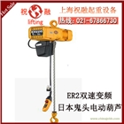 日本KITO鬼頭電動(dòng)葫蘆|化工KITO電動(dòng)葫蘆|一臺(tái)發(fā)貨