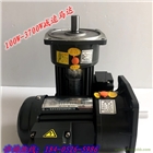 CV1500-20S/東本DCG三相異步電動(dòng)機(jī)