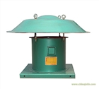 DWT屋頂風(fēng)機(jī)-東莞雅高-出廠價(jià)-大企業(yè)