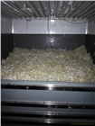 新疆全自動豆芽淋水線機械廠家-烏蘇全自動豆芽翻轉(zhuǎn)機報價