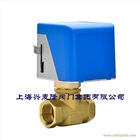 電動(dòng)二通閥AC220V